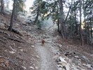 photo thumbnail #4