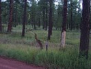 photo thumbnail #5