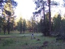 photo thumbnail #11