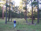 photo thumbnail #12