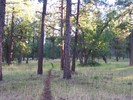 photo thumbnail #15