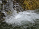 photo thumbnail #15
