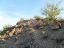 photo thumbnail #7