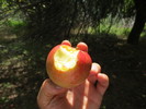 photo thumbnail #3