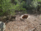 photo thumbnail #7