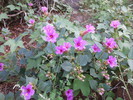 photo thumbnail #8