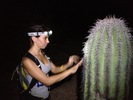 photo thumbnail #7