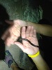 photo thumbnail #10
