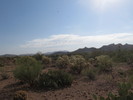 photo thumbnail #4