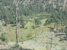 photo thumbnail #7