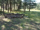 photo thumbnail #15