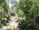 photo thumbnail #8