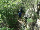 photo thumbnail #2