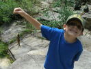 photo thumbnail #4