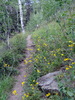 photo thumbnail #14