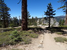 photo thumbnail #2
