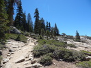 photo thumbnail #3