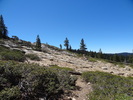 photo thumbnail #11