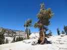 photo thumbnail #7