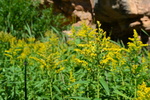 photo thumbnail #9