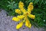 photo thumbnail #10
