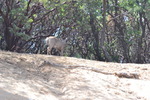 photo thumbnail #1