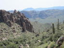 photo thumbnail #7