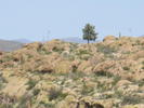 photo thumbnail #14