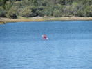 photo thumbnail #14