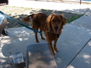 photo thumbnail #5