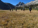 photo thumbnail #9
