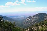photo thumbnail #6