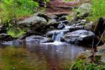 photo thumbnail #12