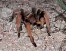 photo thumbnail #2