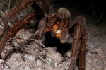 photo thumbnail #9