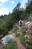 photo thumbnail #2
