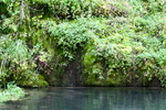 photo thumbnail #14