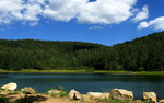 photo thumbnail #6