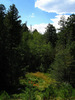 photo thumbnail #8