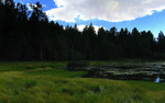 photo thumbnail #12