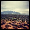 photo thumbnail #1