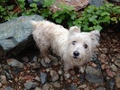 photo thumbnail #13