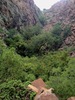 photo thumbnail #15