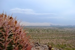 photo thumbnail #4