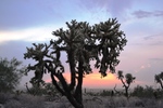 photo thumbnail #9