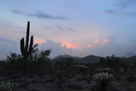photo thumbnail #10