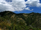 photo thumbnail #15