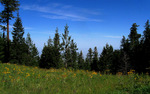 photo thumbnail #9
