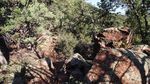 photo thumbnail #3