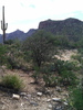 photo thumbnail #4